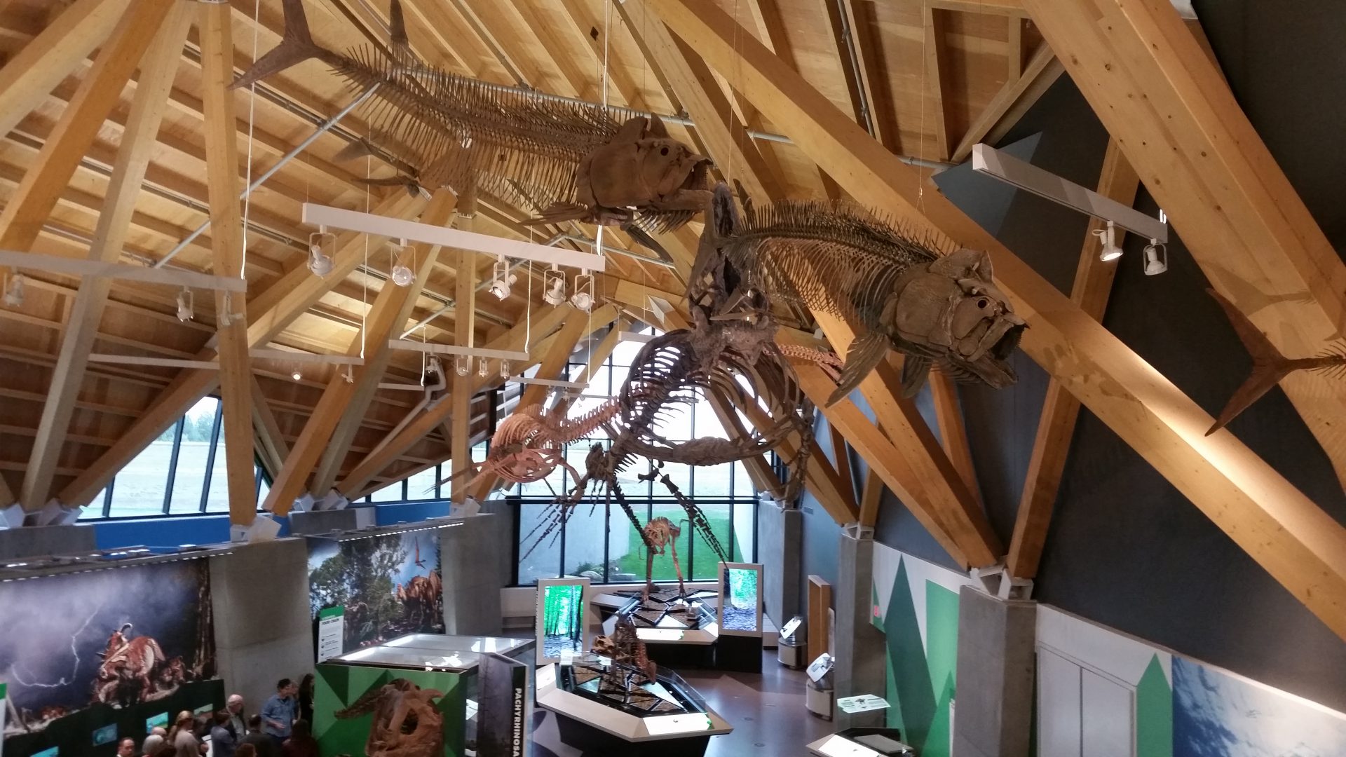 Philip J. Currie Dinosaur Museum ready to welcome public - My Grande Prairie Now1920 x 1080