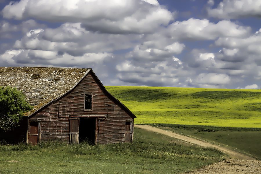 Rise in Alberta farmland values not as steep as 2013