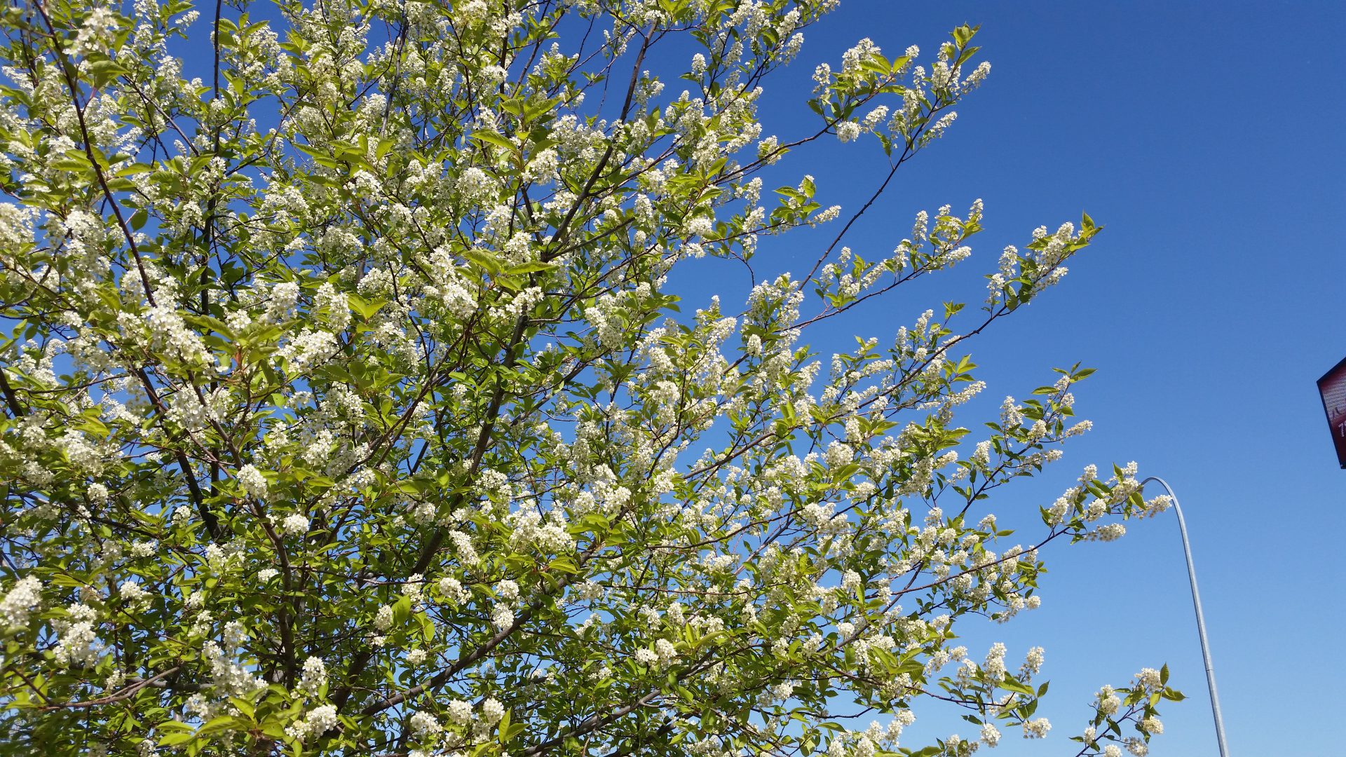 Spring weather on its way: Environment Canada