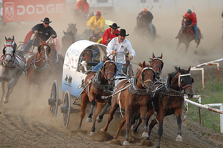 Locals drivers in good position after day one of Stompede chuckwagons