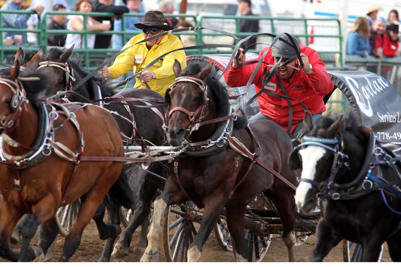 Dorchester pulls ahead to lead Stompede chuckwagons