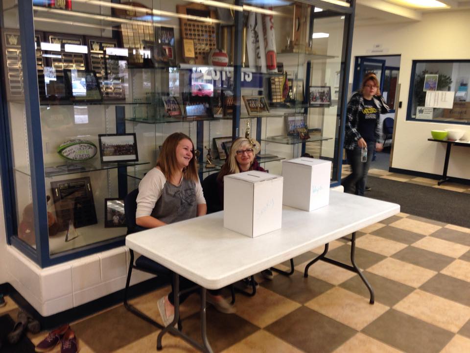 Alberta students take part in mock election