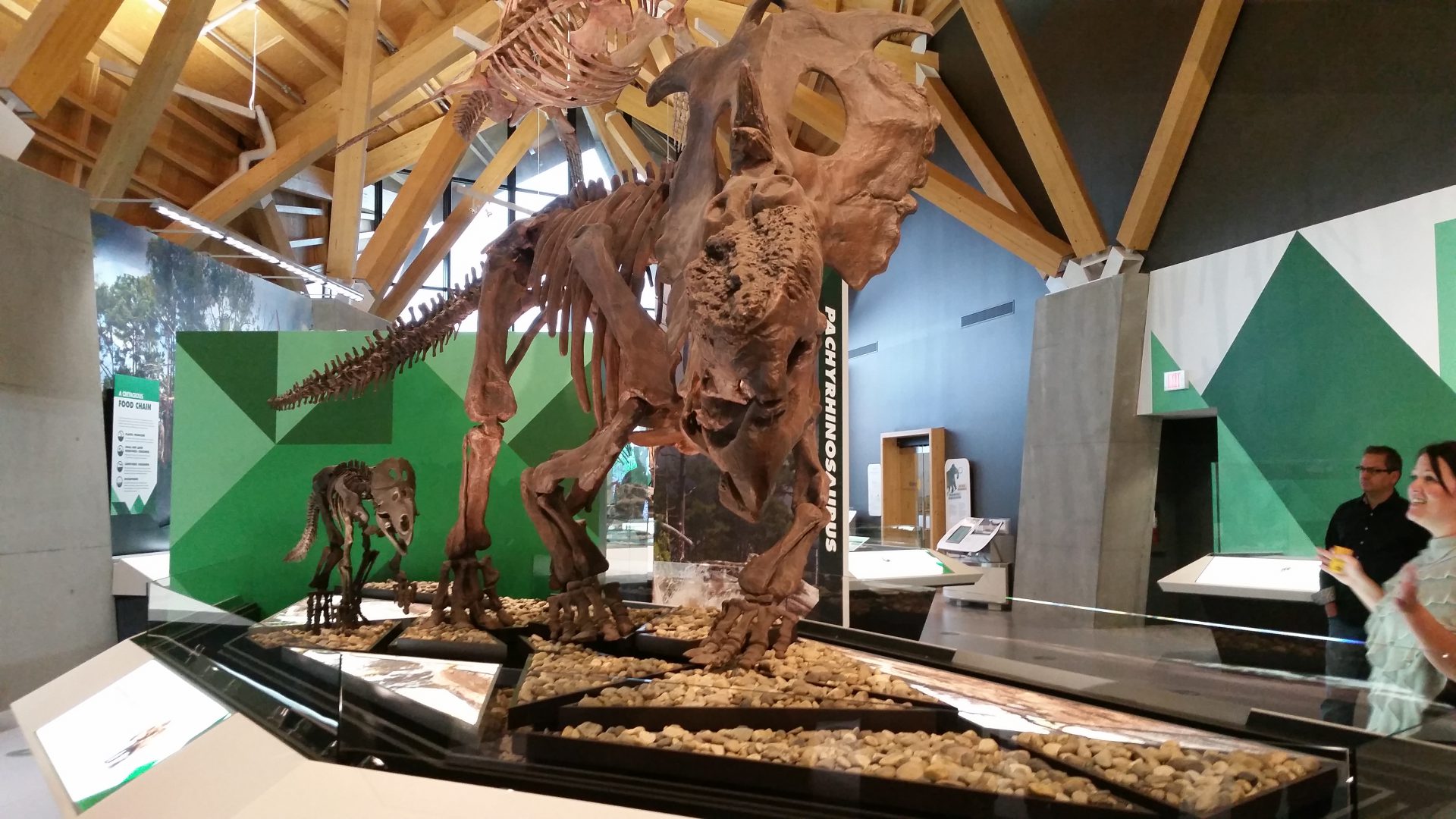 Volunteers shaken up after dino museum raffle theft