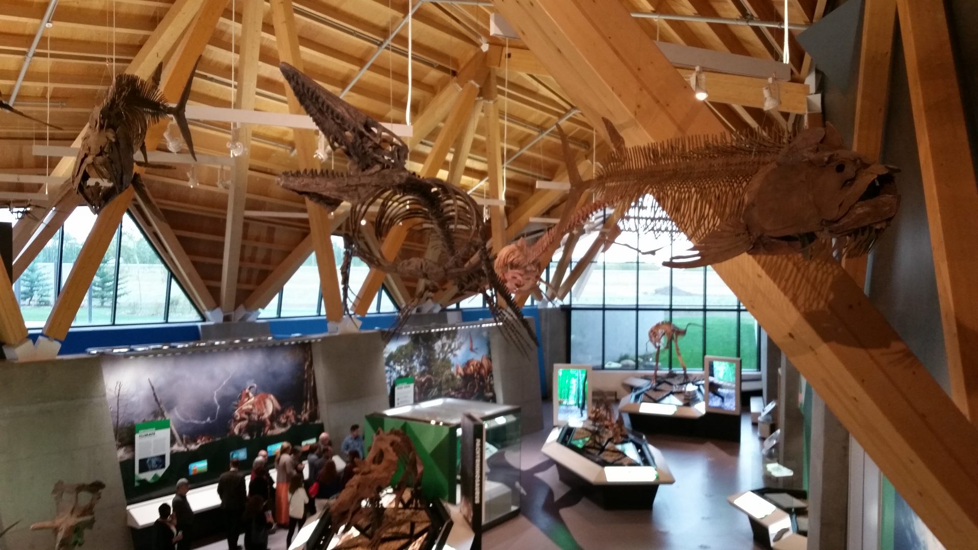 Philip J. Currie Dinosaur Museum celebrates one year anniversary