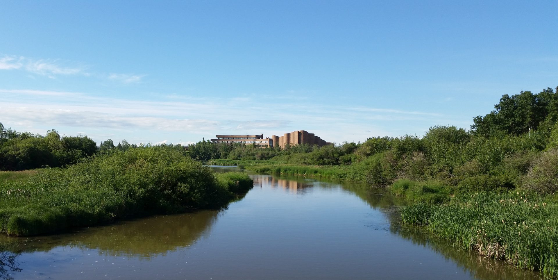 Construction starts pedestrian bridge on Muskoseepi trails