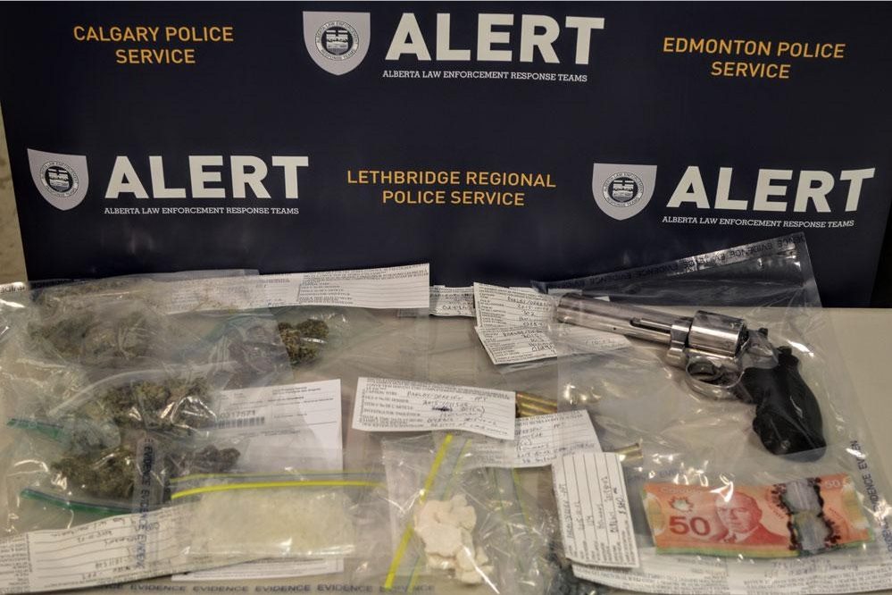 ALERT finds drugs, stolen gun in Countryside South home