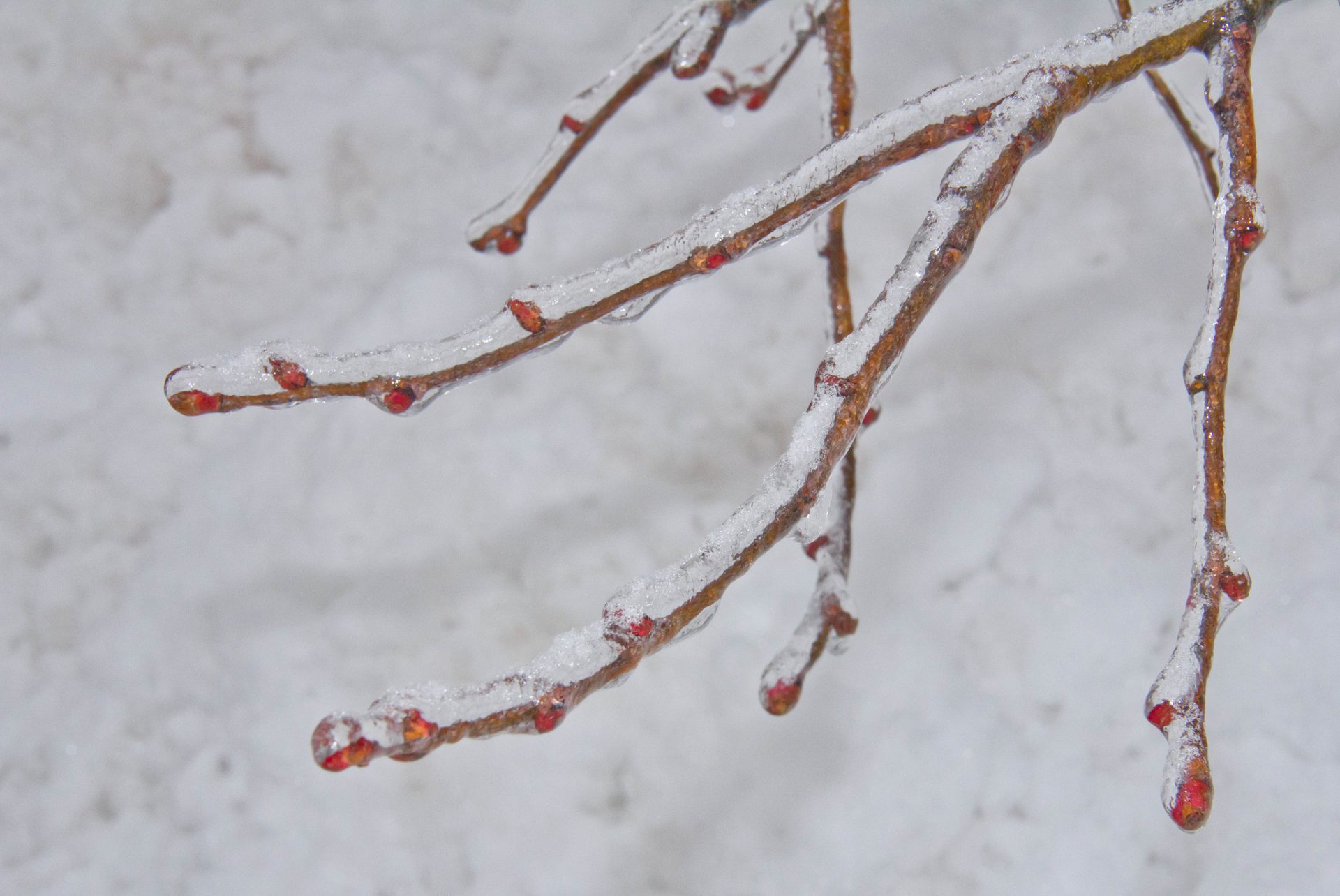 Freezing rain warning for Grande Prairie area