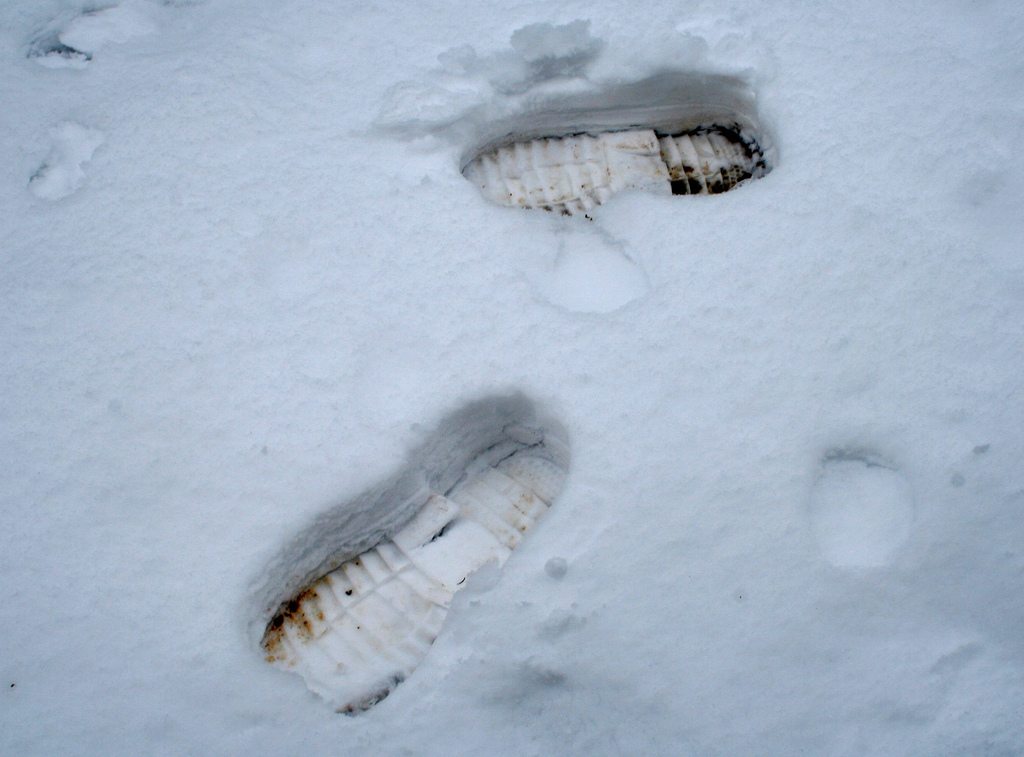 RCMP follow footprints to find B&E suspect hiding