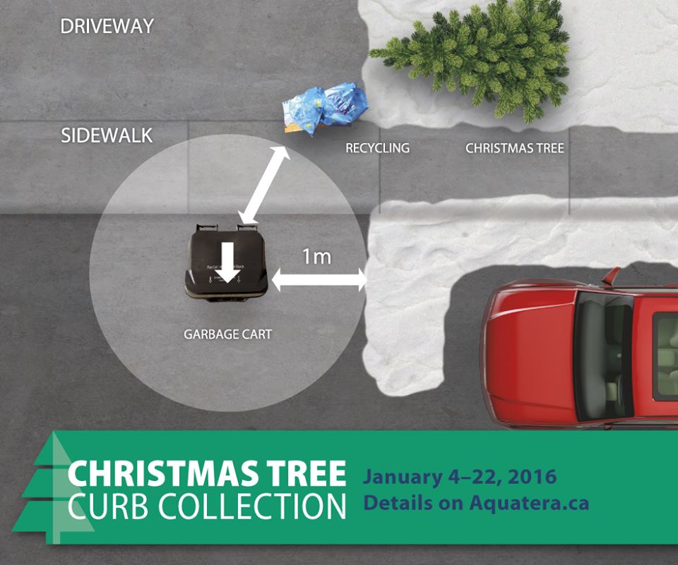 Aquatera now collecting Christmas trees