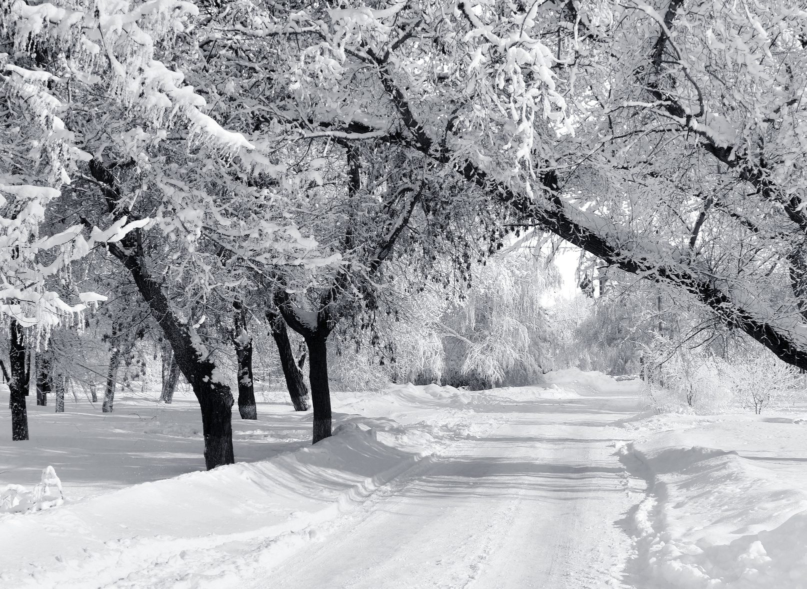 Long-term extreme cold could lead to frozen soil in the spring: Environment Canada