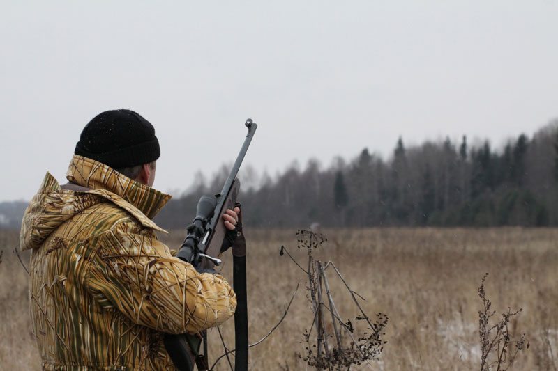 UPDATE: Fatal hunting accident outside Spirit River, Saddle Hills County