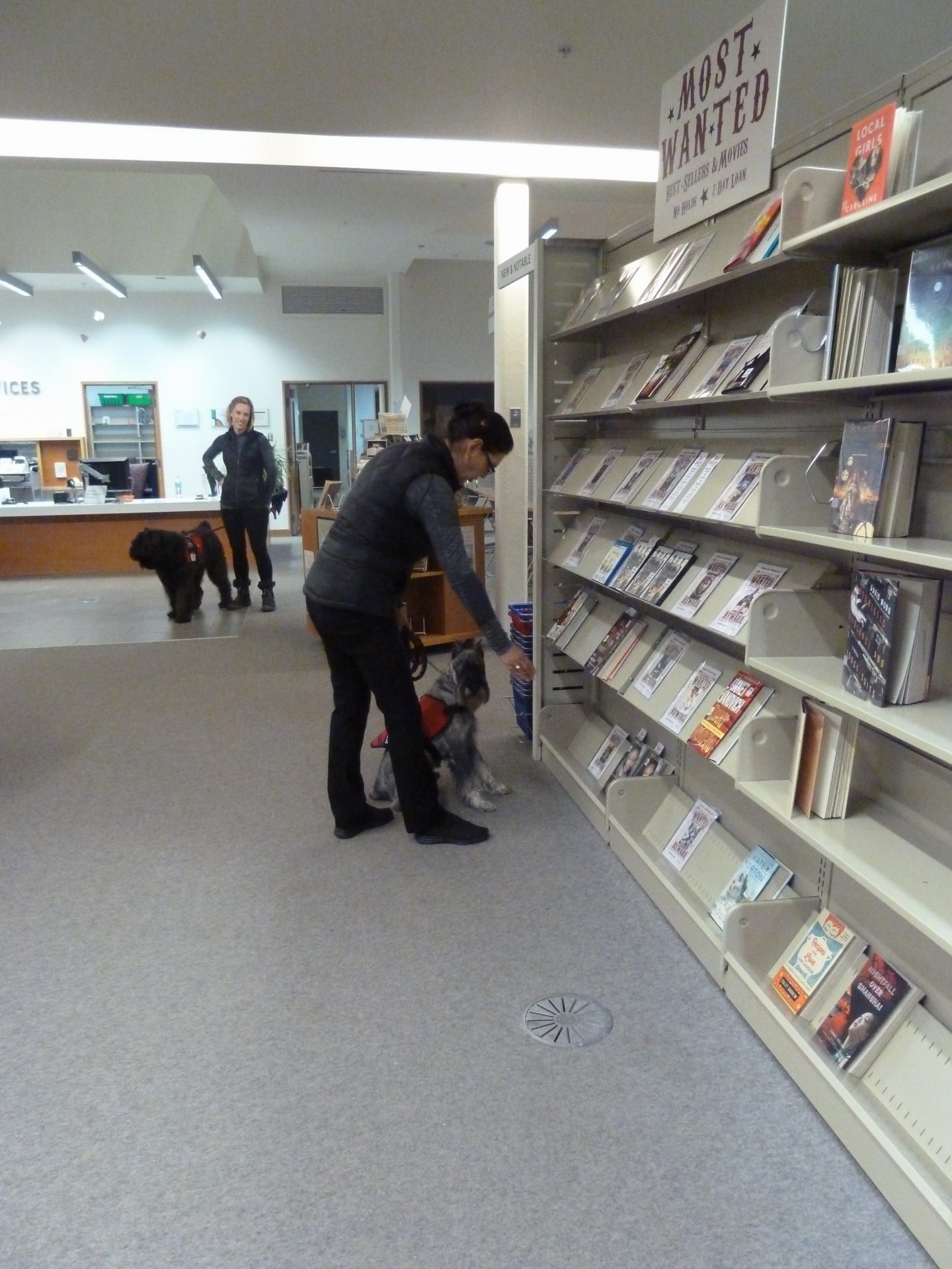 Bedbug sniffing dogs give library the green light