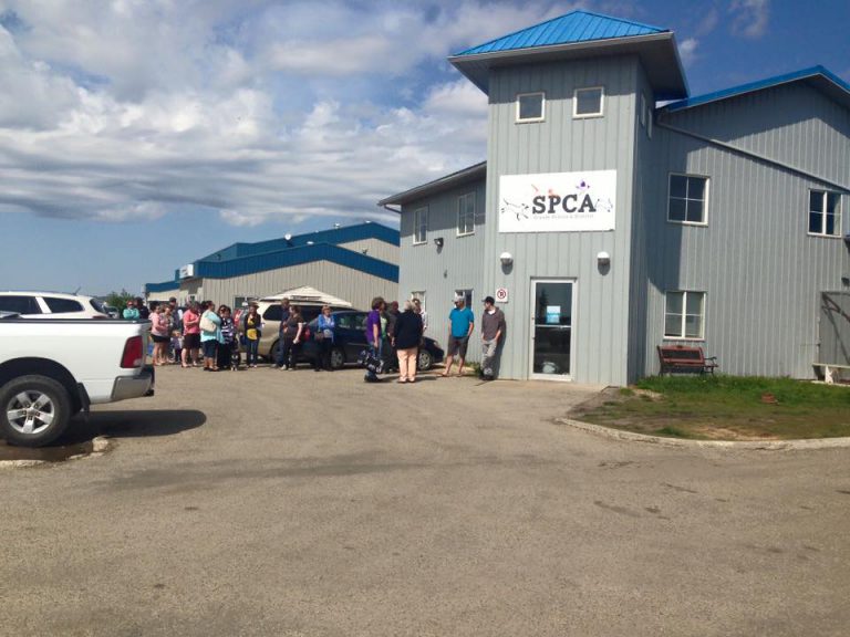 County and City of Grande Prairie have first meeting on the Grande Prairie and District SPCA