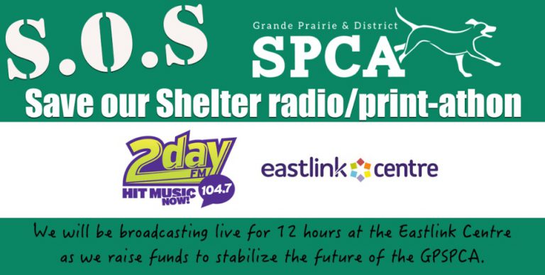 Radio and print-a-thon planned to benefit Grande Prairie SPCA