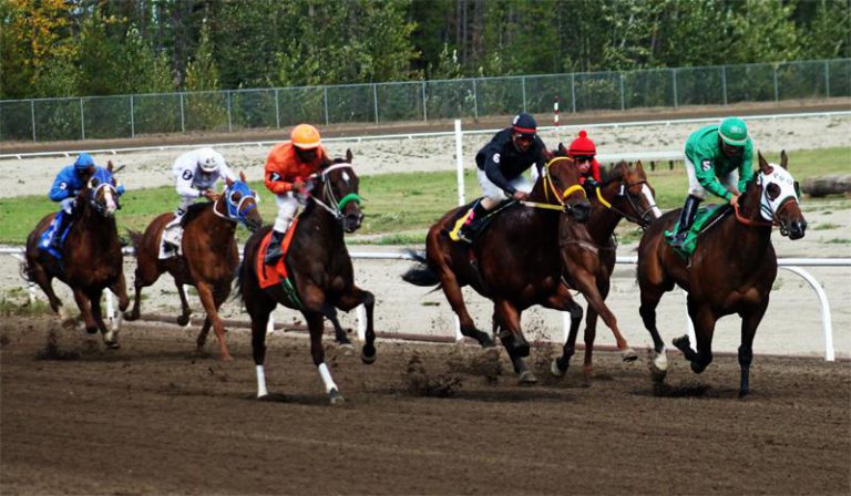 Horses at Evergreen Park event returns to Grande Prairie