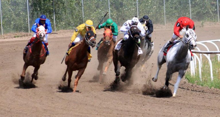 Horses back at Evergreen Park