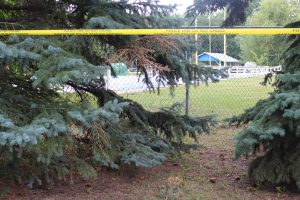 A hole can be seen in the fence around Bear Creek Pool. Photo: Justine Kelsie