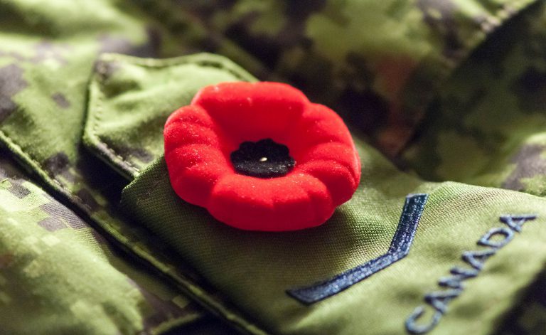 70,000 poppies now available in Grande Prairie