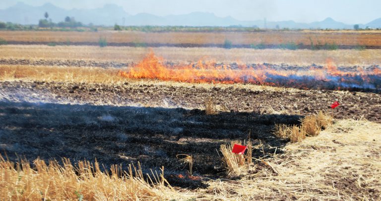 Province warns against crop burning as wildfire hazard increases
