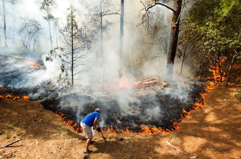 County working on wildfire mitigation efforts