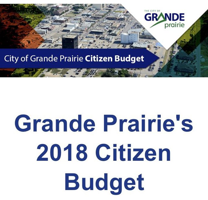 Citizen Budget tool launches