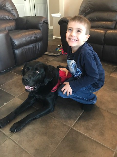 autism support dog making a difference for grande prairie boy my autism assistance