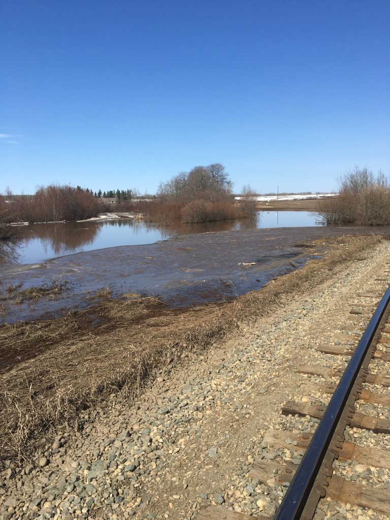 Creek near Sexsmith at capacity