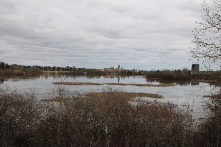 PHOTOS:  Muskoseepi Park flooding