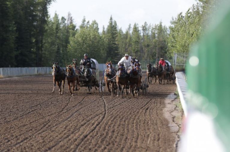 Western Chuckwagon Association moving on without live entertainment