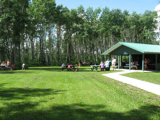 County campgrounds now open