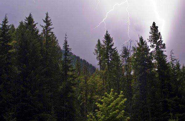 Lightning sparks eight wildfires