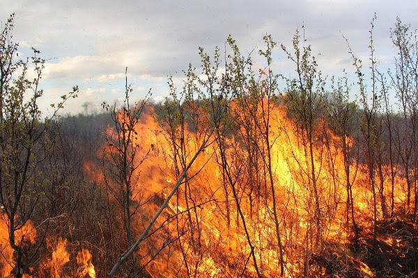 UPDATE: No major loss from Saskatoon Island Park wildfire