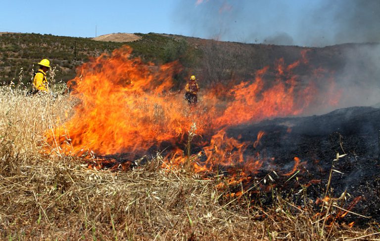 Grande Prairie area wildfire danger reaches very high