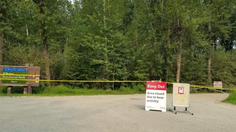 O’Brien Park reopens after grizzly capture