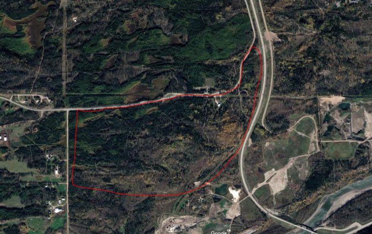 Wapiti Nordic Ski Club area reopened after bear sightings