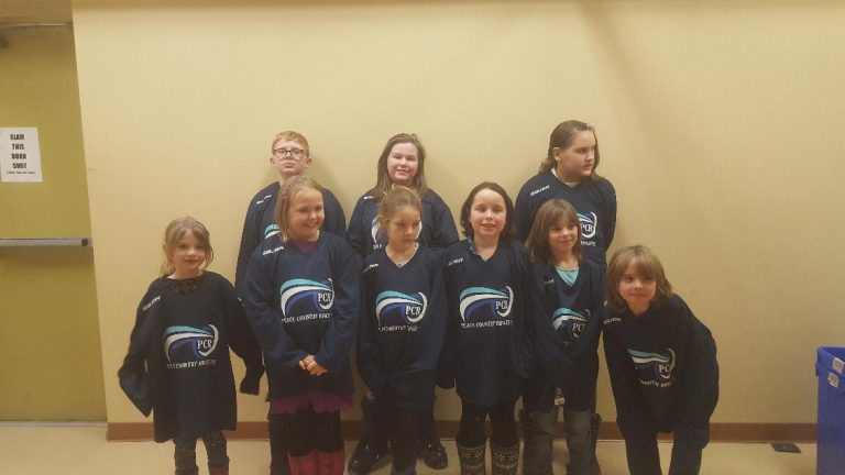Local ringette team looking to grow