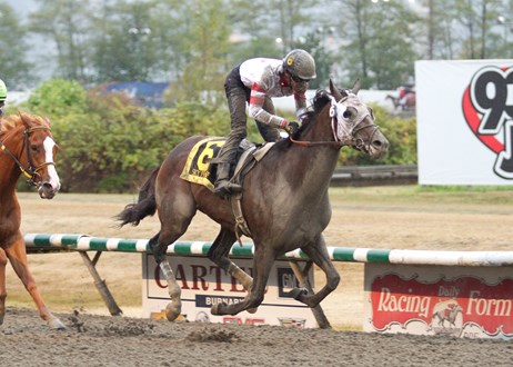 Locally co-owned wins third race in 33 days