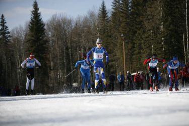 Public asked to support Arctic Winter Games bid