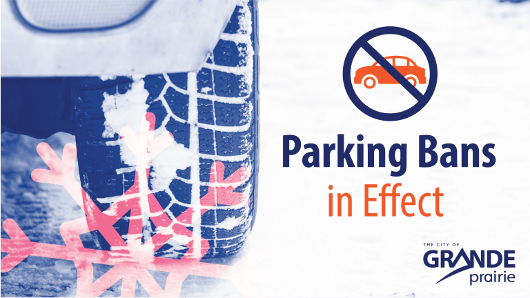Parking bans on permanent snow routes in effect as of February 7th