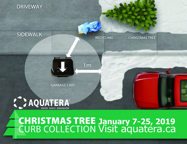 Christmas tree collection starts Monday