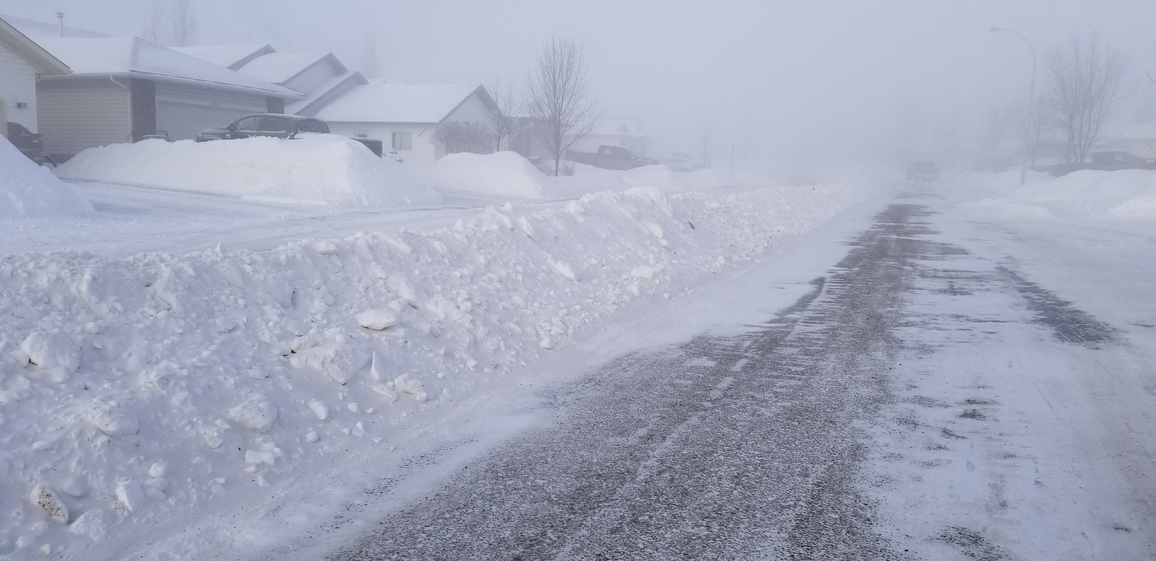 A windrow in the Mission neighbourhood, February 4, 2019, Erica Fisher