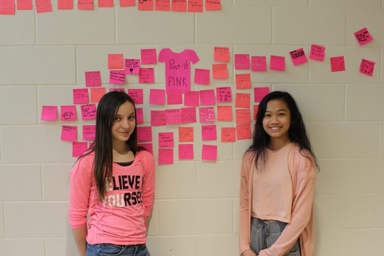 Students paint the Peace Region pink to stand up to bullying