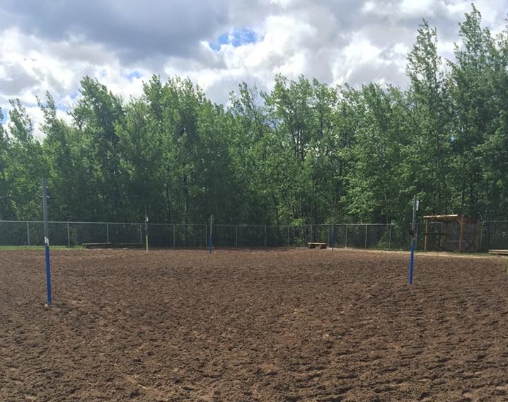 Beach volleyball courts proposed for former PARDS site