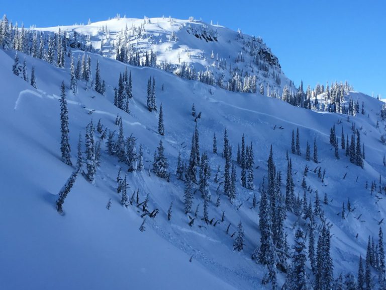 Northwestern Alberta man killed in B.C. avalanche