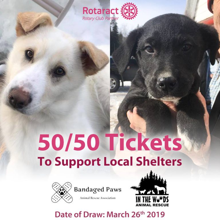 Two animal rescues to get nearly $5000 in funds from Rotaract club