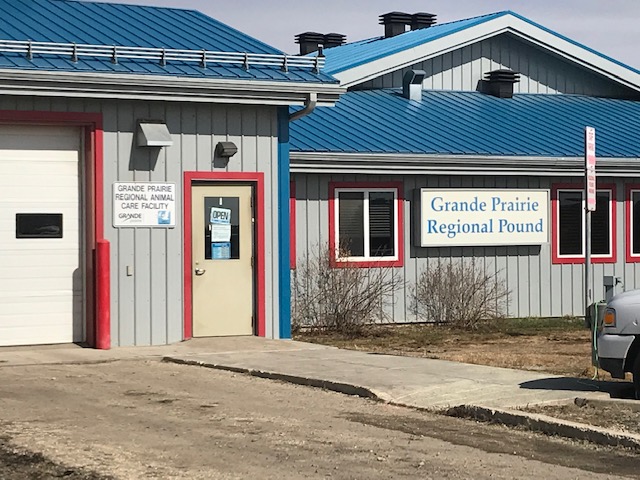 Regional Animal Care Facility still a bandaid solution: County