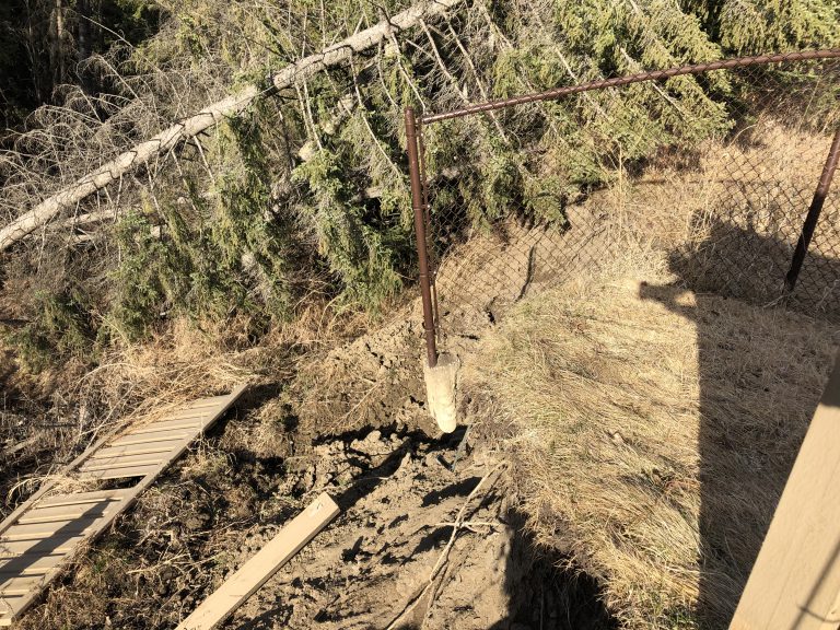 FireSmart vegetation management begins this week