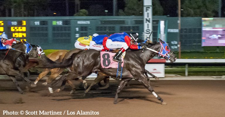 Horse owned by Beaverlodge couple wins big in California