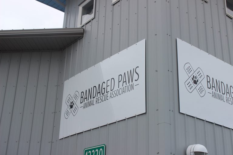 Bandaged Paws to move thousands of pounds of food donations due to renovations