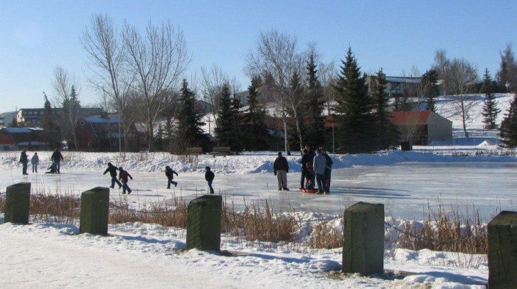 City to build pond hockey rink in Muskoseepi Park